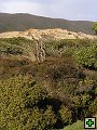 thn_Steward Island 018.jpg